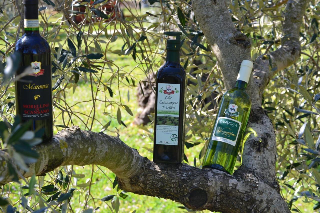 Agriturismo Il Laghetto Grosseto Exterior foto